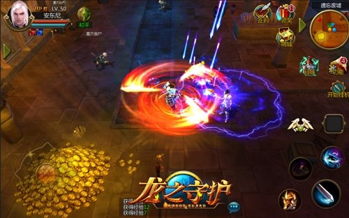 龙之守护折扣版