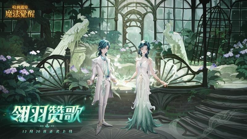 Harry Potter：Magic Awakened