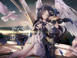 可以和猫娘拔萝卜的