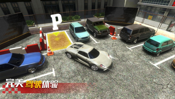 真实停车高手内购版