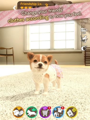 和我的狗在一起