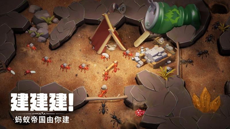 蚁族崛起折扣版