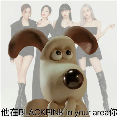 最近网上很火的梗表情包