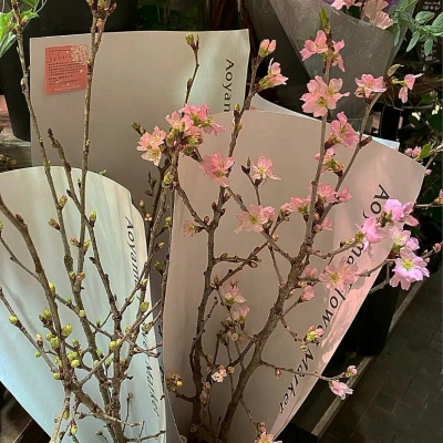 浪漫唯美的鲜花个性微信头像