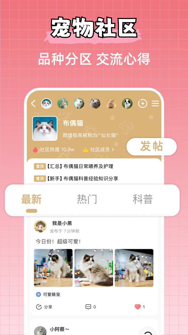 宠物王国