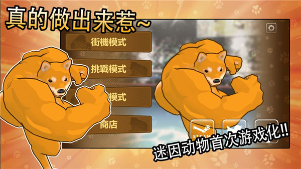 动物之斗中文版游戏