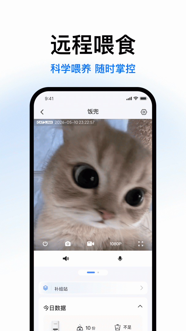 Catlink