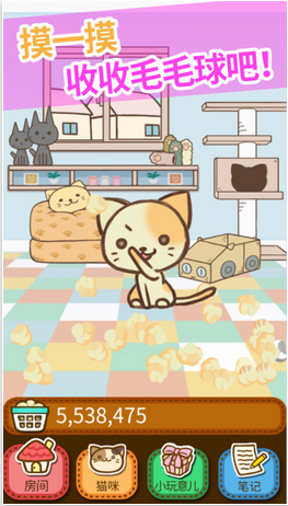 猫咪的毛九游版