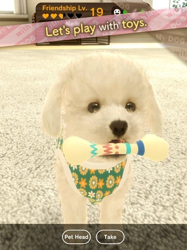 和我的狗在一起