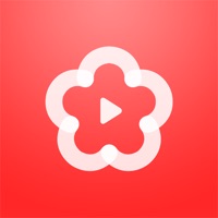 梅花视频（一天只能看三次）