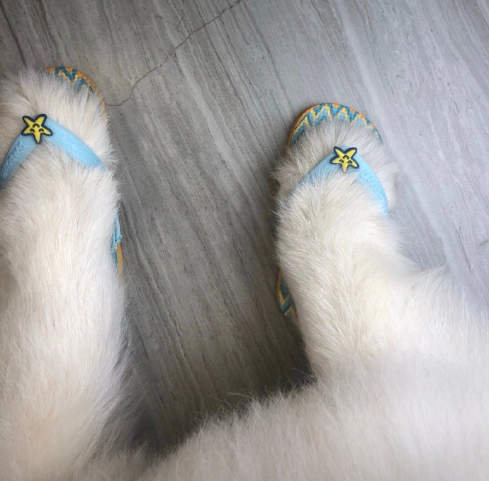 可爱狗狗穿鞋鞋微信头像