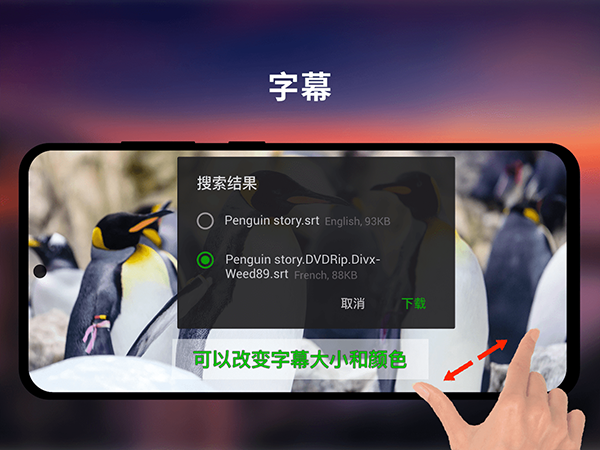 xplayer专业版