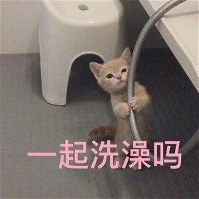 又有意思又可爱的微信表情包