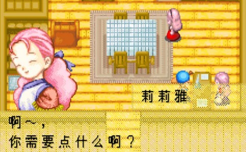 牧场物语矿石镇的伙伴们魔女版