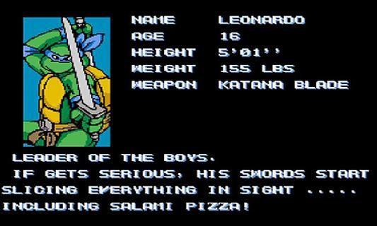 忍者神龟无敌版