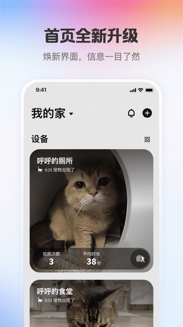小佩宠物