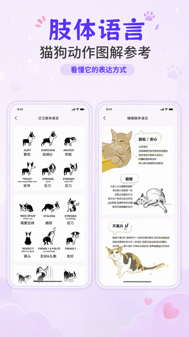 猫叫模拟器