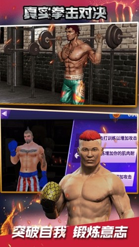 真实拳击对决