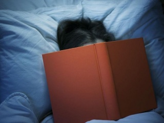 适合躲在被窝看的书