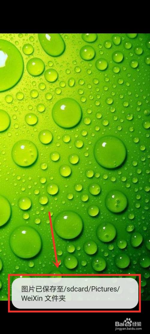 怎样把收藏的图片转到相册