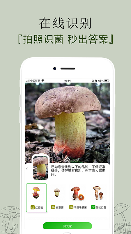 菌窝子拍照识菌