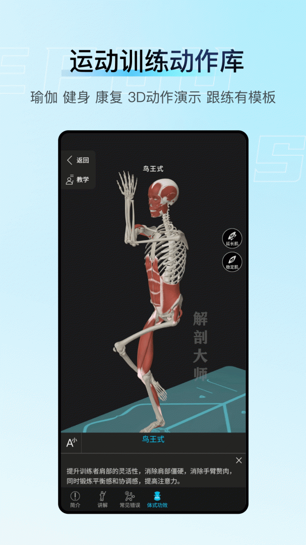 解剖大师