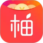 老柚相亲版