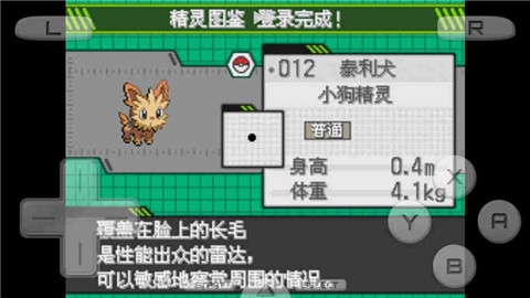 口袋妖怪白2649版中文版