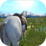 今天你骑马了吗