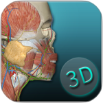 人体解剖学图集最新版