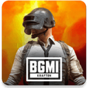 和平精英印度服(Battlegrounds India)