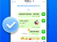 专业全免费聊天