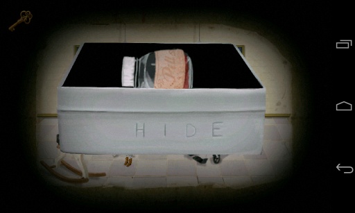 弗兰的悲惨之旅中文版