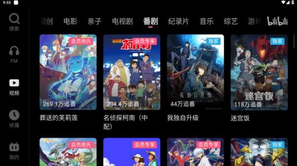 哔哩哔哩车机版