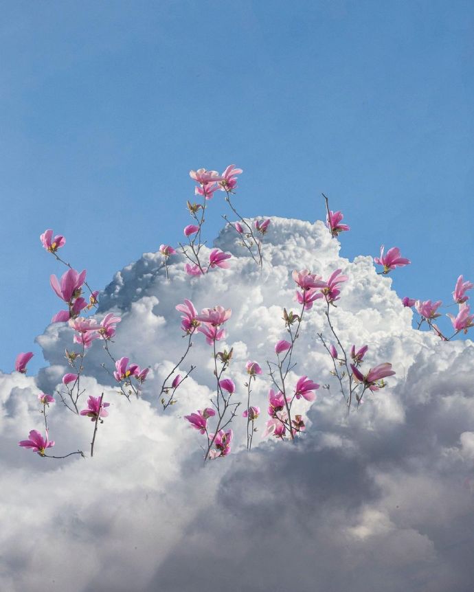 超美的景色遐想微信头像