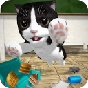 猫咪模拟器内置作弊菜单版