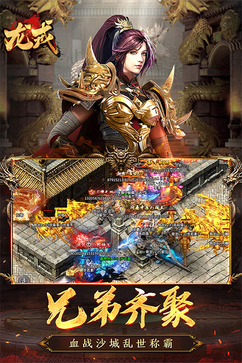 龙戒传奇三职业