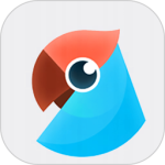 有道翻译官手机版