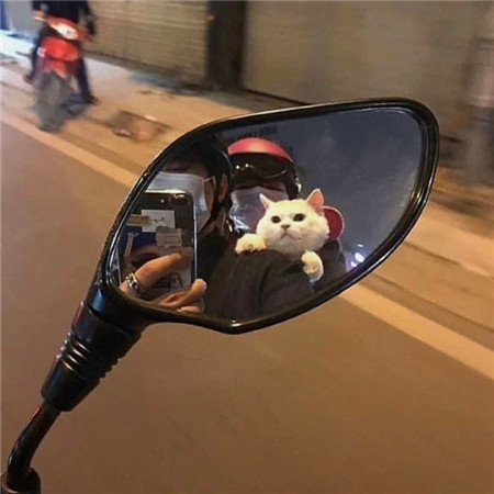 很有吸引力的很魅力的背景图