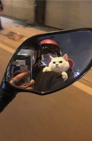 很有吸引力的很魅力的背景图