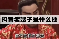 老嫂子梗是什么意思详情