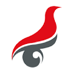 学信网学籍信息查询