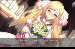 《奈的调整教育日记》全结局流程攻略一览