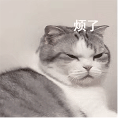 可爱猫猫萌萌的动态微信表情包