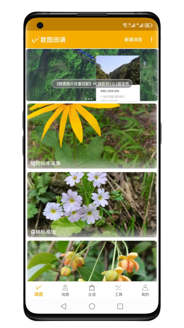 数图九游版