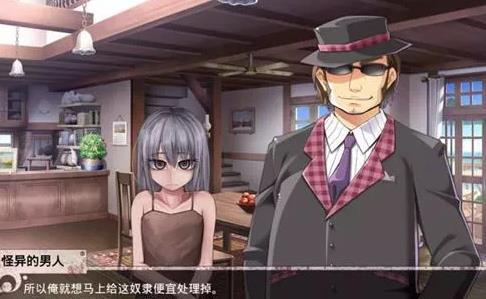 与希露微的疯狂生活10.0魔改汉化版