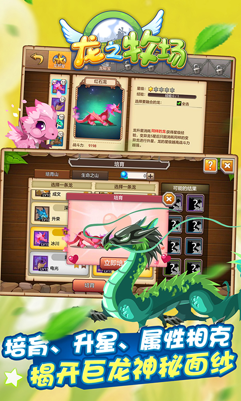 育龙高手九游版