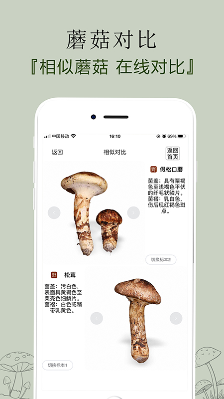 菌窝子拍照识菌