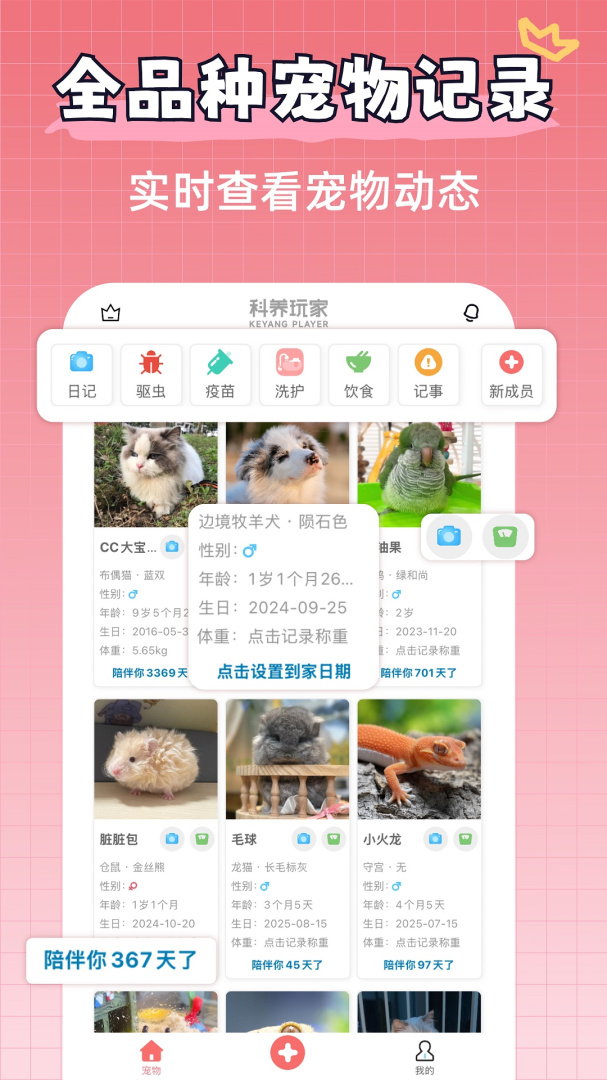 宠物王国