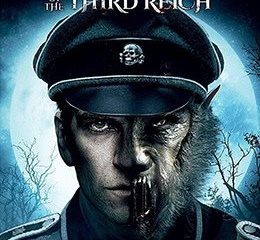 4k1080p免费追剧的